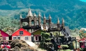 Area wisata Pondok Pinus Palutungan Kuningan tempat favorit keluarga untuk piknik dan menikmati udara hutan pinus