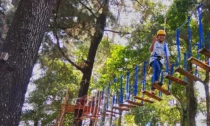 Woodland Kuningan kombinasi wisata alam + wahana seru + spot foto kekinian